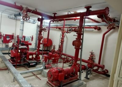 WhatsApp Image 2026-02-11 at 10.23.01 PM (3)